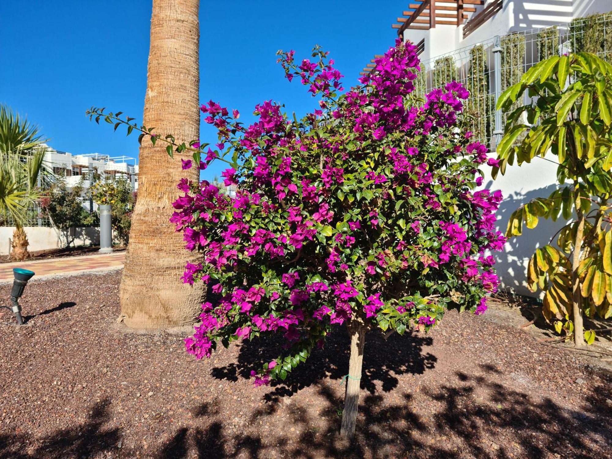 Apartamento El Sueno San Juan de los Terreros Exterior foto