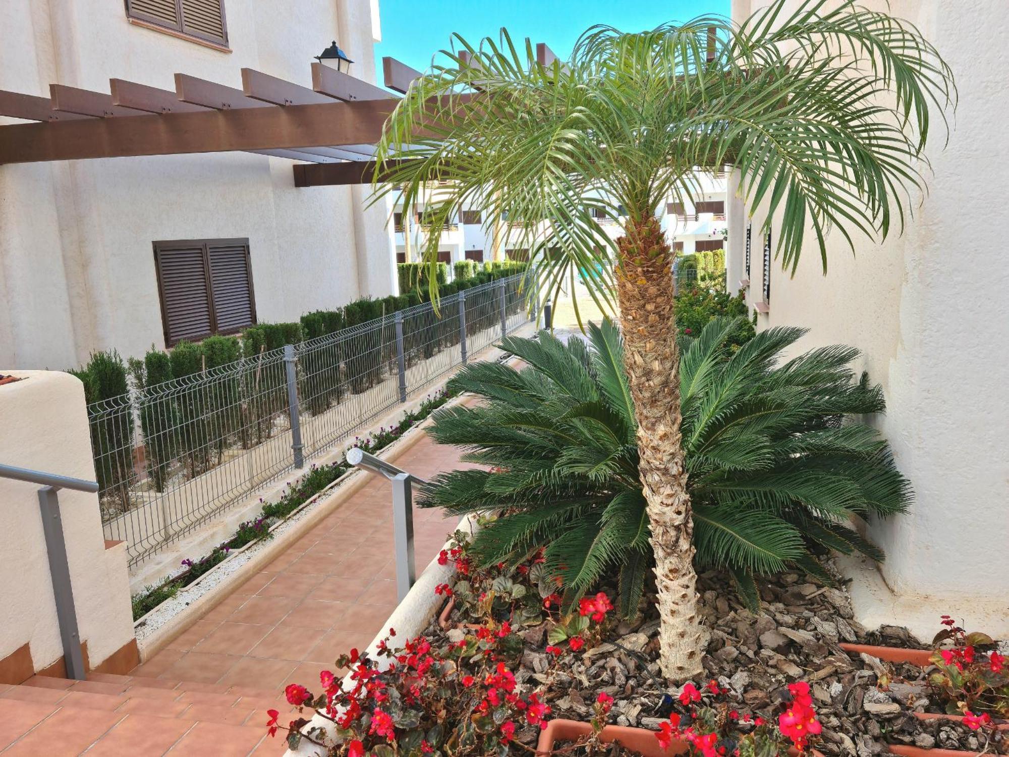 Apartamento El Sueno San Juan de los Terreros Exterior foto