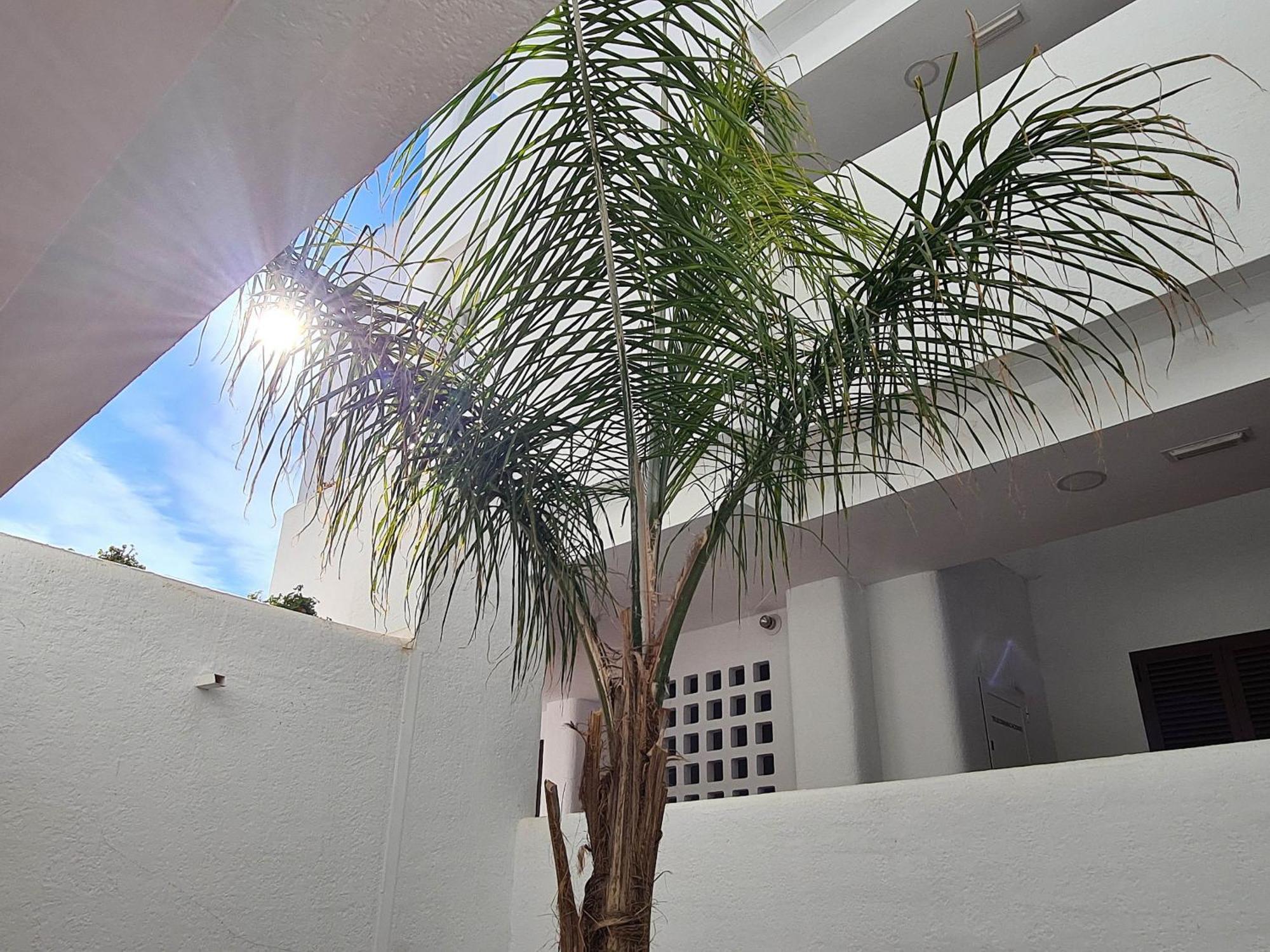 Apartamento El Sueno San Juan de los Terreros Exterior foto